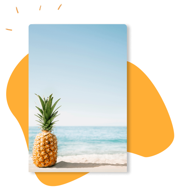 Angebot: Sommer-Special quellcoder