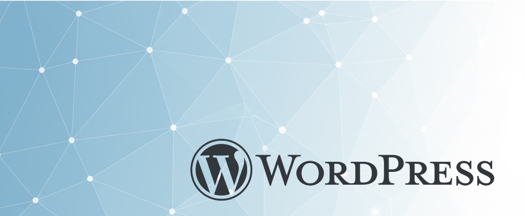 WordPress CMS im Einsatz – Webentwicklung, Performance-Optimierung und SEO im Agenturalltag