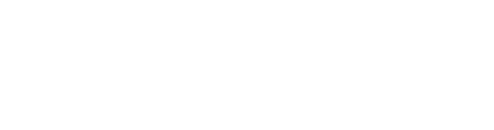Bricks Page Builder Logo (weiß, transparent)