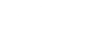 BWS Logo